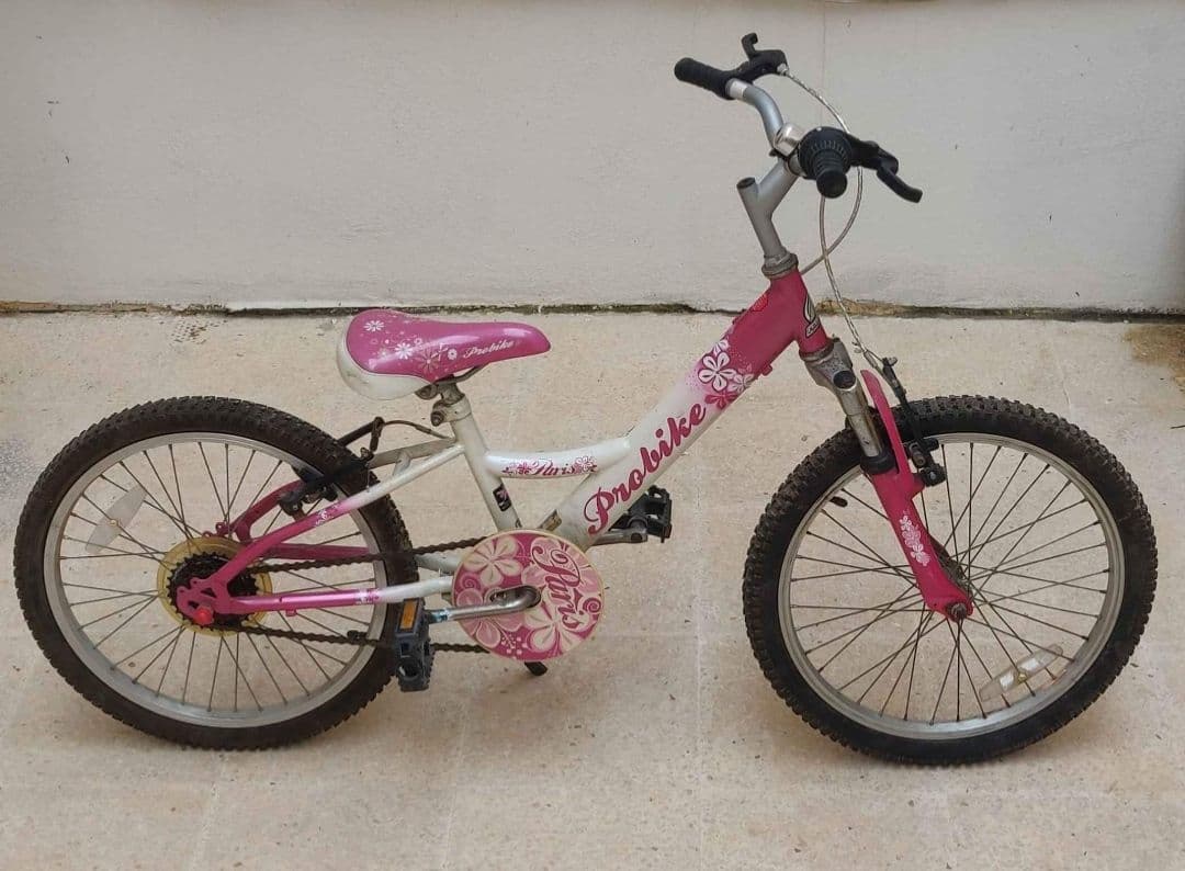 Probike Paris 20 inch Girls Bike Pink 4 to 8 Yrs